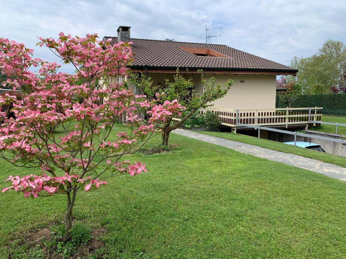 B&B Il Ciliegio Lomnago Dış mekan fotoğraf
